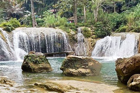 2024 BOHOL Tarsier, WaterFalls & Chocolate Hills Tour .